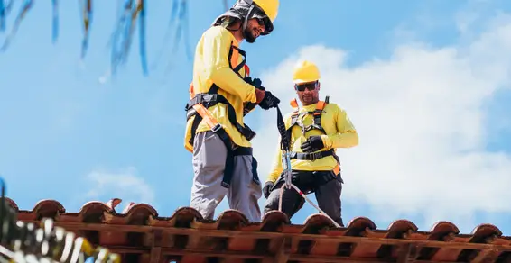 Roof Inspection
